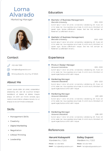 Professional CV Sample 33